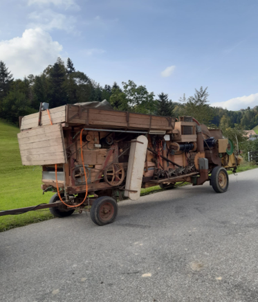 Getreide dreschen
