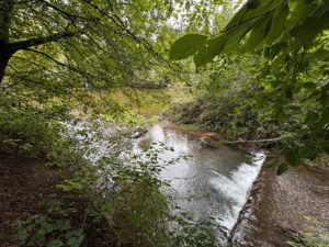 Goldbach in Lützelflüh